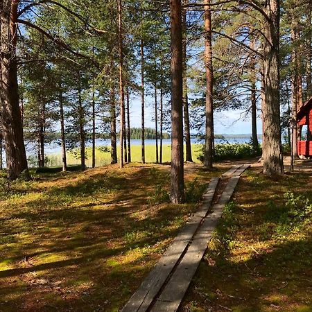 Luontohotelli Sapson Helmi Sotkamo Kültér fotó