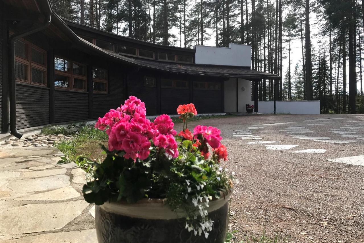 Luontohotelli Sapson Helmi Sotkamo Kültér fotó